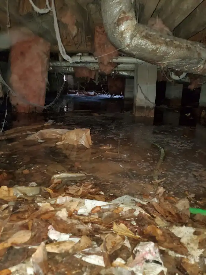Crawl space flood assessment for Commercial Water Damage Restoration in St. Johns