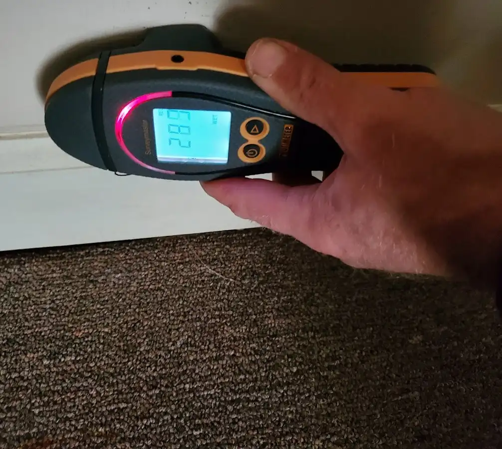 Moisture detection at baseboard during Burst Pipe Cleanup in St. Johns
